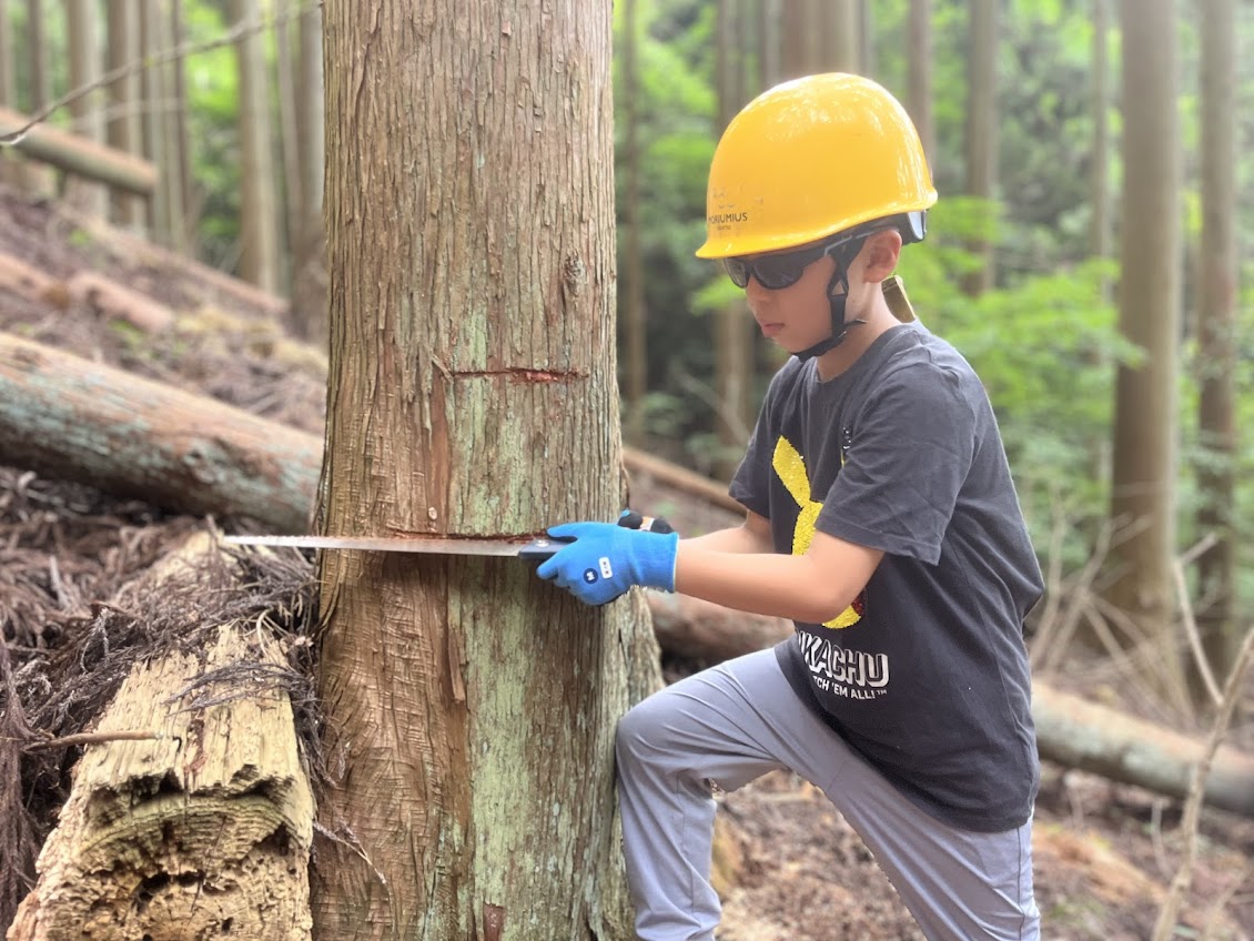 めぐりの中で生きる暮らし 【捨てるものなんて、ひとつもなかった。 自然の知恵を編み直し、未来を自分の手でつくる3日間】